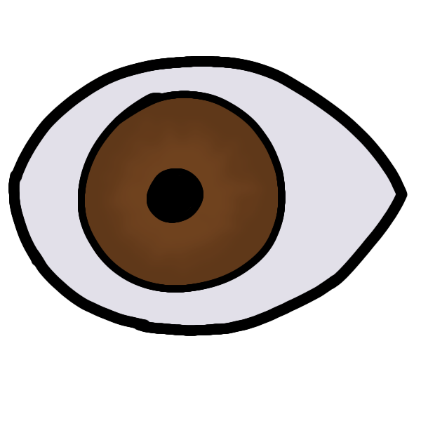 An eyeball with a brown iris and a black pupil